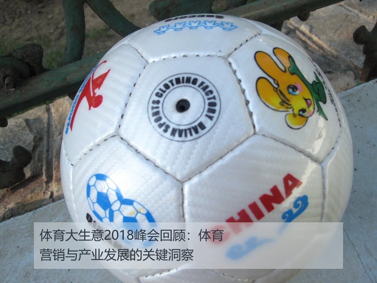 体育大生意2018峰会回顾:体育营销与产业发展的关键洞察