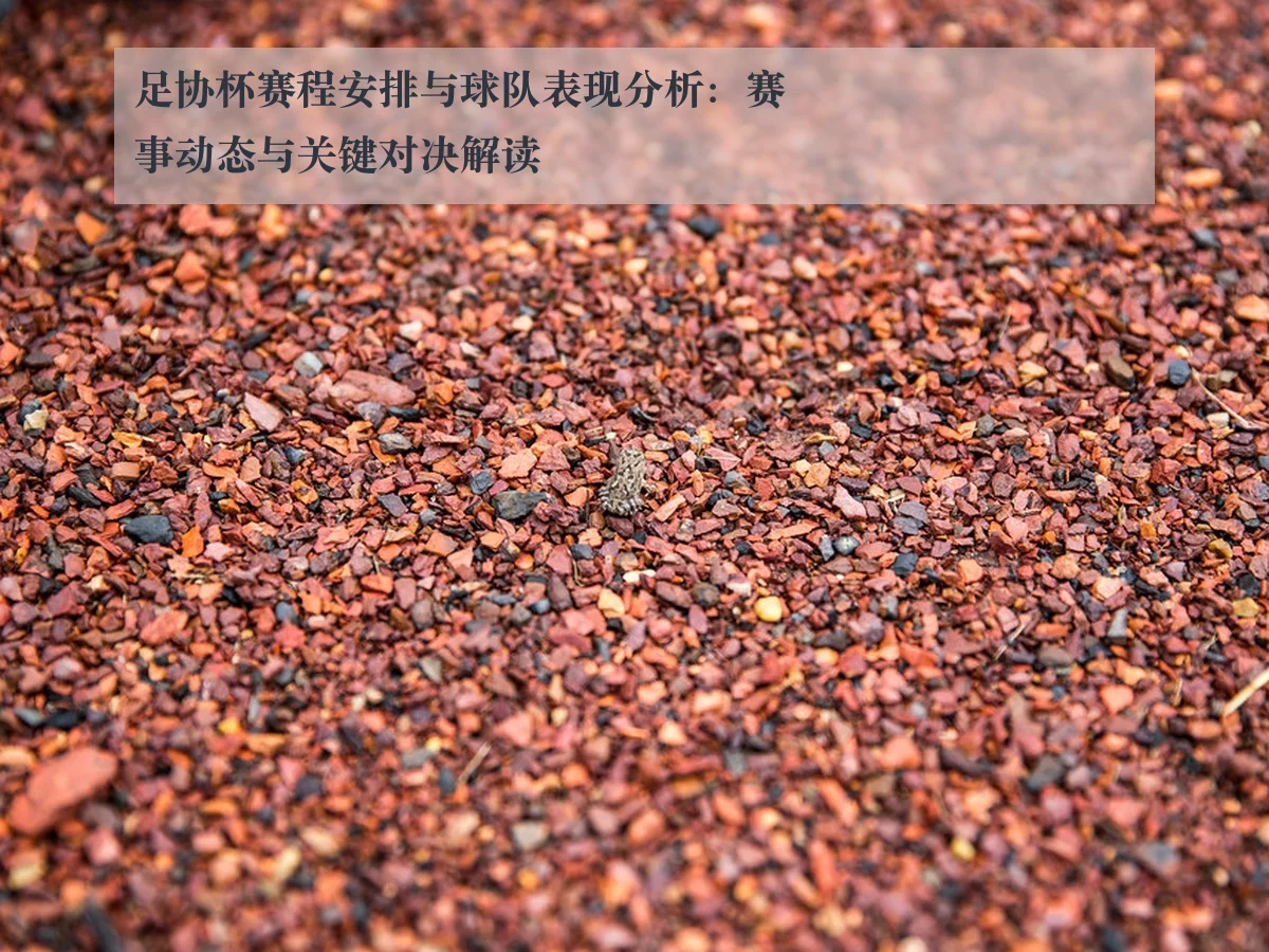 足协杯赛程安排与球队表现分析：赛事动态与关键对决解读
